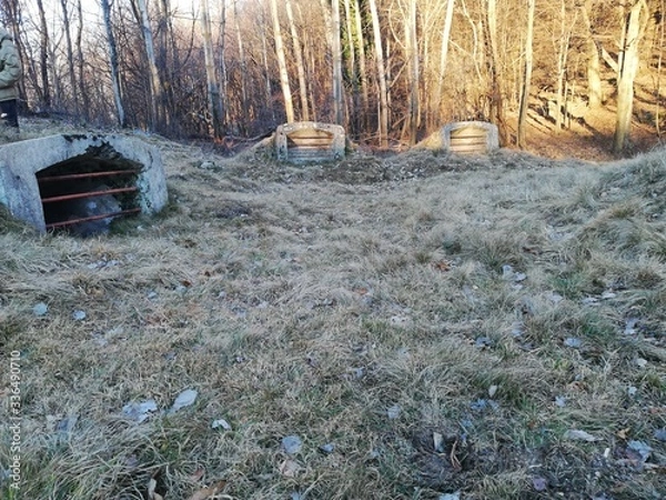 Obraz grass in the snow