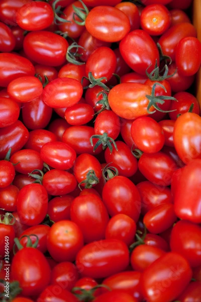 Obraz Pflaumentomaten