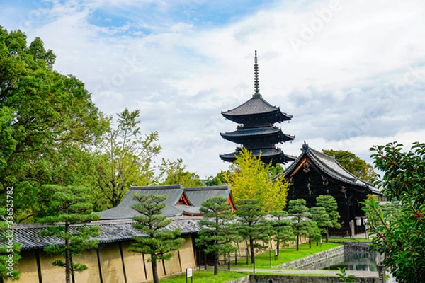 Fototapeta 京都　東寺