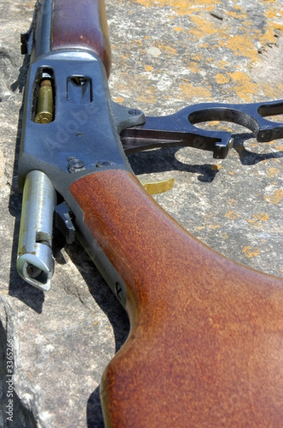 Obraz loaded rifle