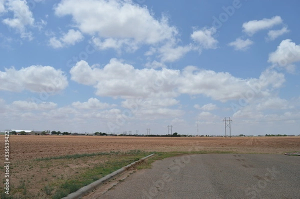 Obraz West Texas Field