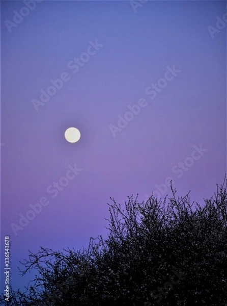 Obraz full moon over the sky