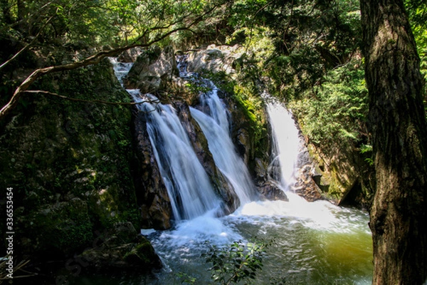 Fototapeta 三筋の滝