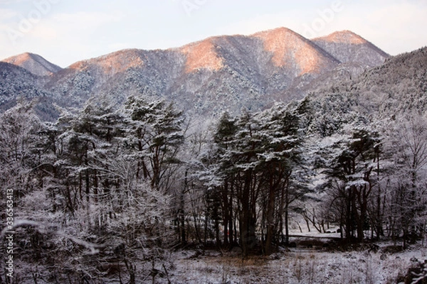 Obraz winter in the mountains