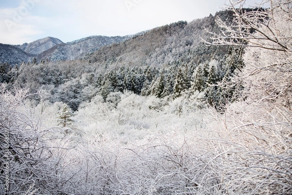 Obraz snow covered mountains