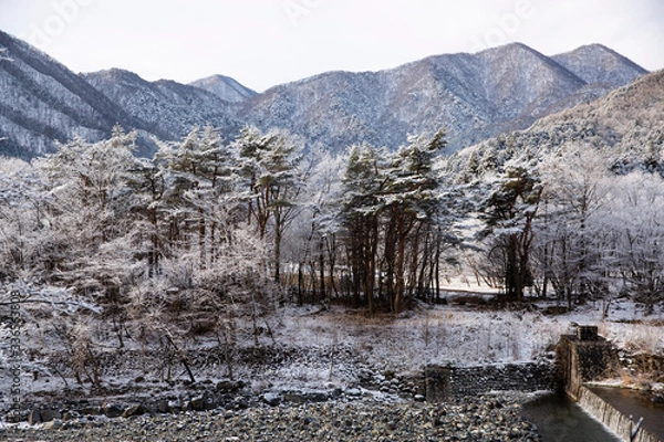 Obraz winter in the mountains