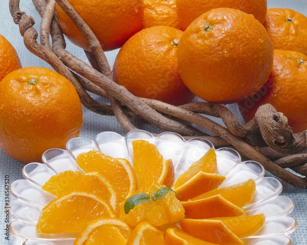 Obraz 屋久島たんかん