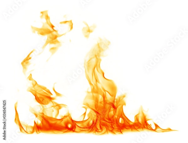 Fototapeta Fire flames on a white background.