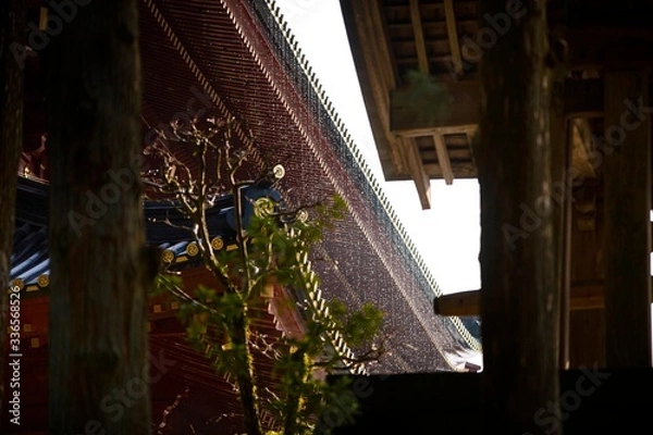 Obraz temple and rain