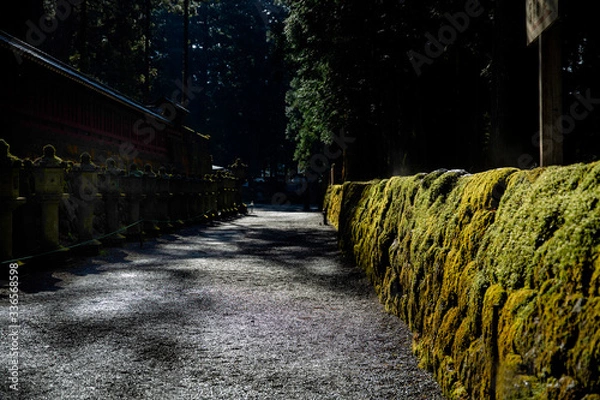 Obraz sunset in temple