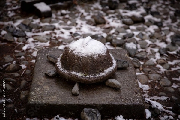 Obraz snow covered stone turtle