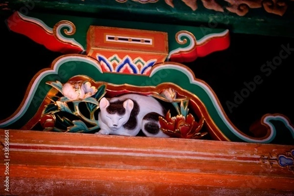 Obraz nikko japan.
cat