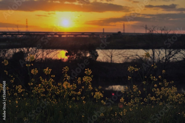 Fototapeta spring sunset