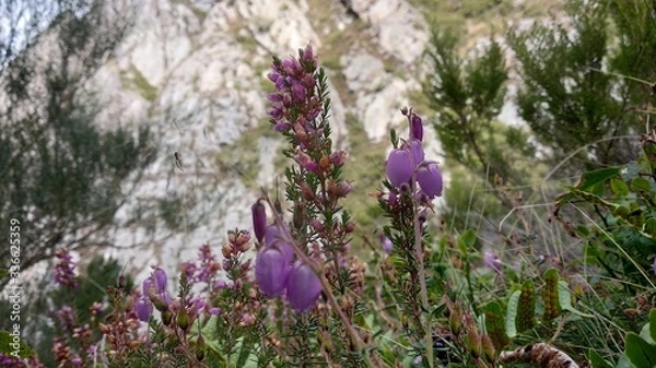 Fototapeta Mountain vibes