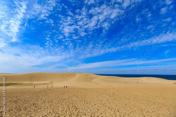 Fototapeta 鳥取砂丘