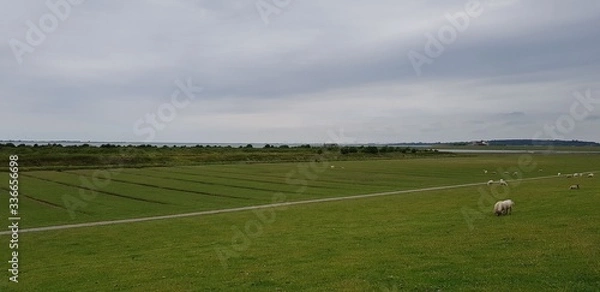 Obraz Nordsee Landschaft