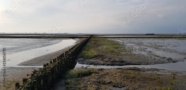Obraz Nordsee Watt