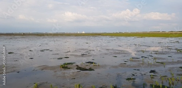 Obraz Nordsee Watt