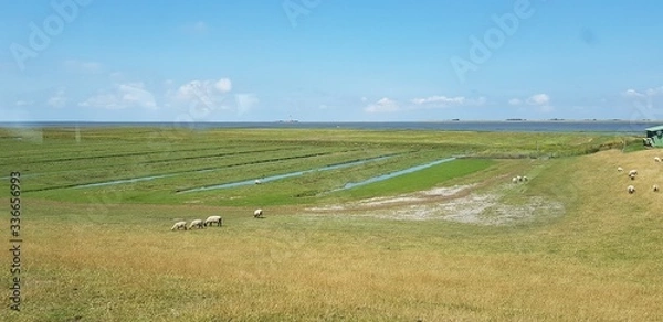 Obraz Nordsee Landschaft