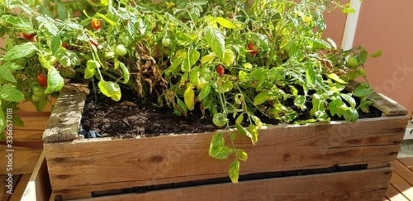 Obraz Balkonkreativität