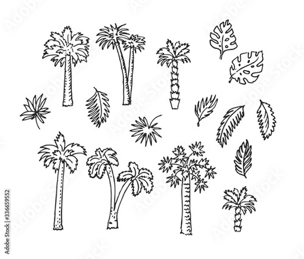 Fototapeta Tropical set, palms.