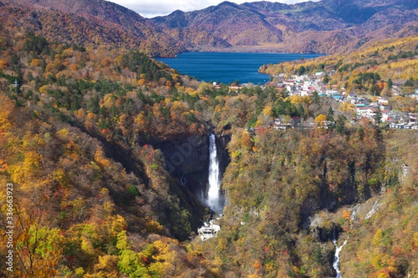 Fototapeta 秋の日光