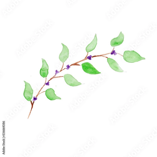 Obraz branch with green leaves