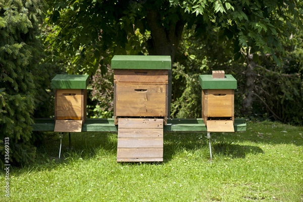 Fototapeta Bienenhäuser