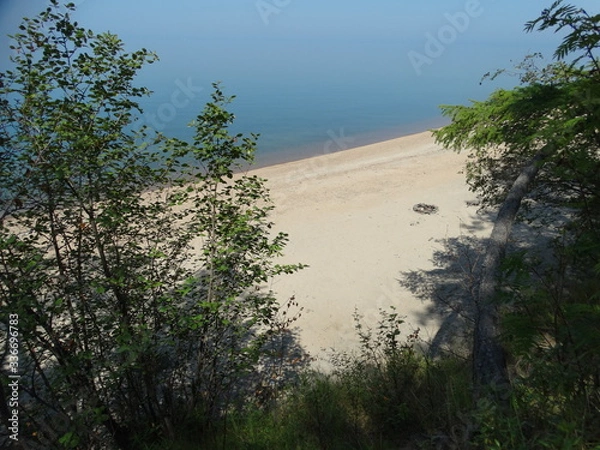 Obraz beach and trees