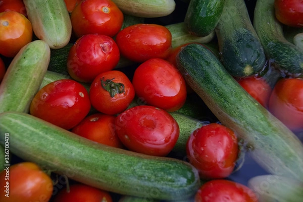 Fototapeta Floating tomato and cucumber in a fruit cleaning process