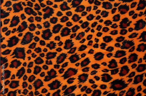 Obraz leopard fur as background