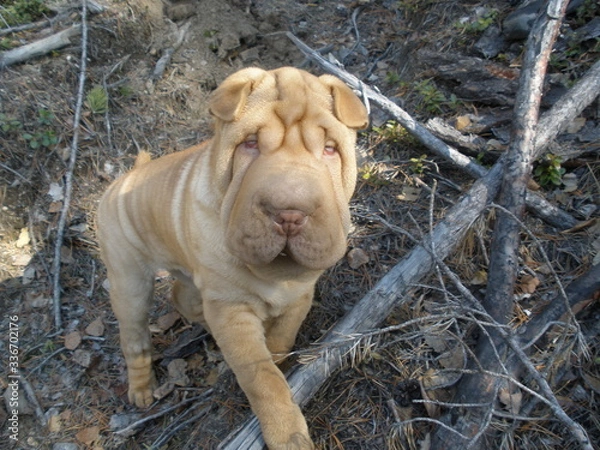 Obraz OLYMPUS DIGITAL CAMERA