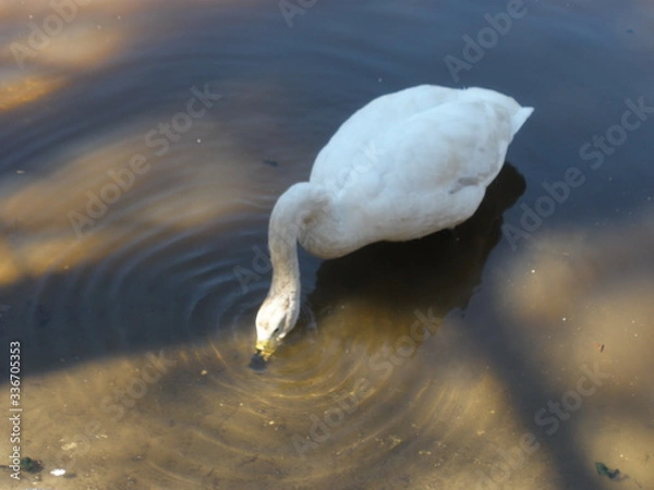 Obraz OLYMPUS DIGITAL CAMERA