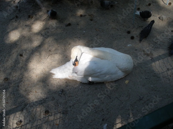 Obraz OLYMPUS DIGITAL CAMERA