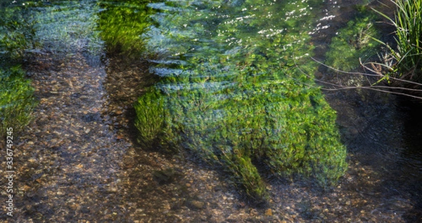 Obraz Chalk Stream River