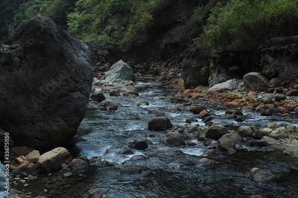 Obraz Shallow clear water with stones and greenery