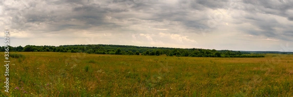 Fototapeta Disturbing clouds are located over a field of wild flowers. Ivanovo region, Russia.