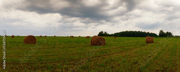 Fototapeta Disturbing clouds are located over a field of wild flowers. Ivanovo region, Russia.