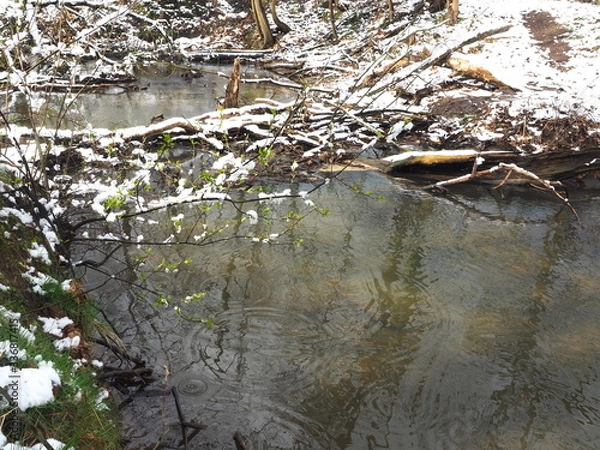 Obraz Drzewko nad wodą