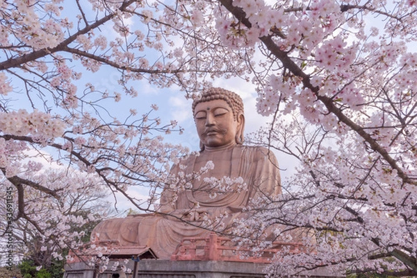 Obraz 日本の桜と大仏