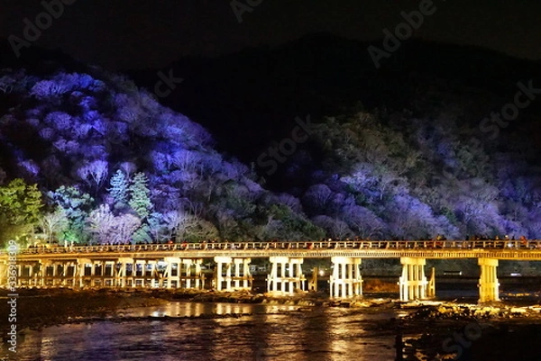 Obraz 京都　嵐山花灯路