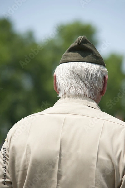 Obraz US Army Veteran