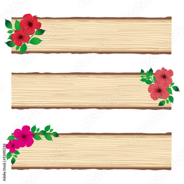 Obraz hibiscus background