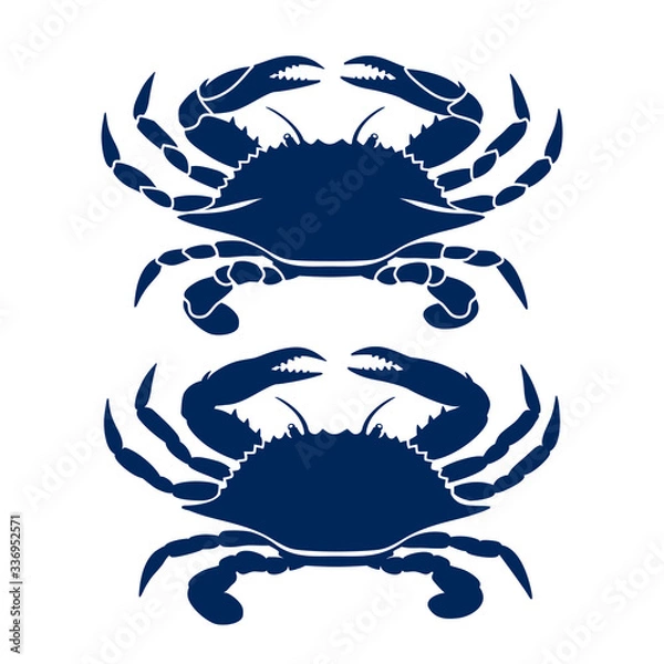 Obraz Blue Crab on white background. Clean, modern vector logo design, symbol or icon in simple flat style. Silhouette of crab. Vector illustration.
