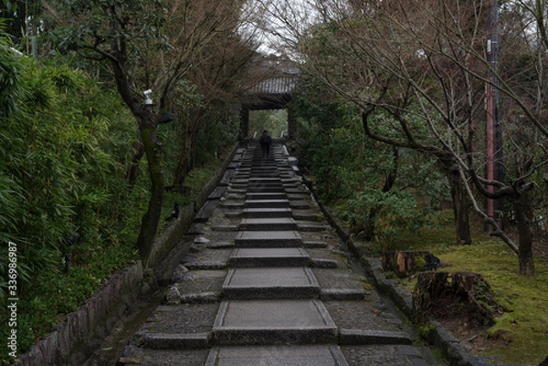 Fototapeta 京都東山・雨上がりの朝　高台寺参道