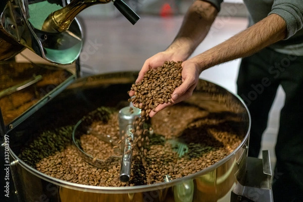 Obraz Control Of Roasted Coffee In Cooling Boiler