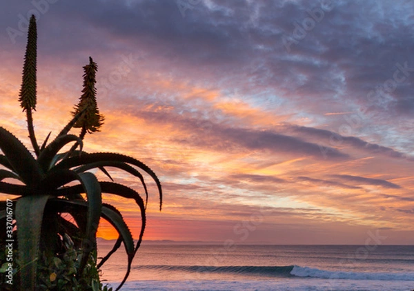 Fototapeta sunrise over waves rolling into super tubes at Jeffrey's bay