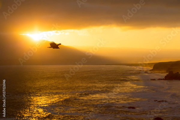 Fototapeta view of a sunset from cliffs towering over the coastline