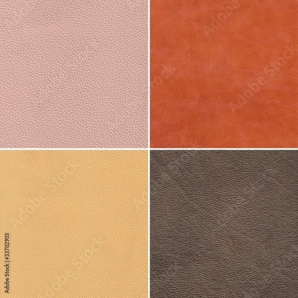 Obraz samples of leather