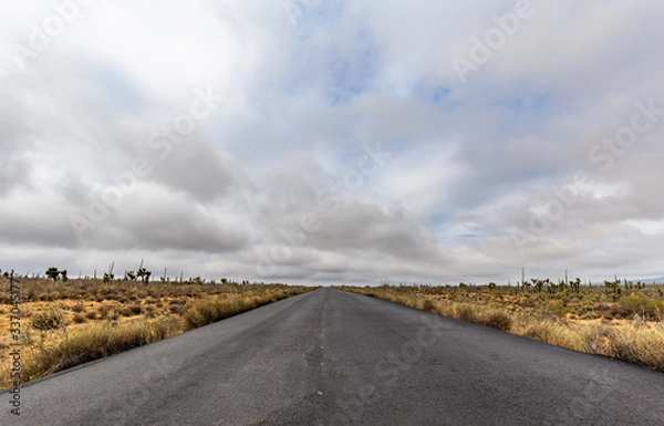 Obraz Roadtrip durch das wunderschöne Baja Kalifornien